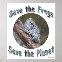 Save Grey Treefrogs Posters