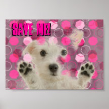 Save Me Dogs Poster