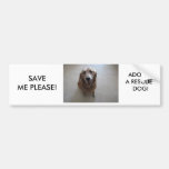 SAVE ME PLEASE - ADOPT A RESCUE DOG! BUMPER STICKER