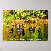 "Save Our Planet...respect nature." Poster