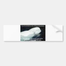 SAVE THE BELUGA WHALES BUMPER STICKERS