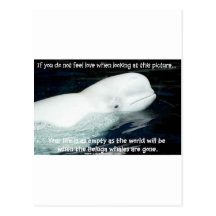 SAVE THE BELUGA WHALES POST CARDS