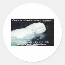 SAVE THE BELUGA WHALES ROUND STICKER