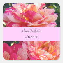 Save the Date Custom Pink Striped Roses Stickers