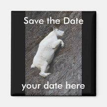 Save the Date Magnet