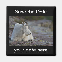 Save the Date Magnet