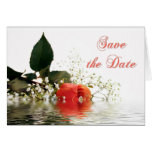 Save the Date Orange Rose Cards