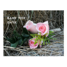 Save The Date: Pink Roses On Hay Post Card