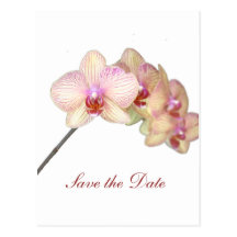 Save the Date Post Card