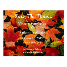 Save The Date Post Cards