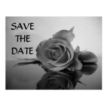 SAVE THE DATE POST CARDS