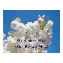 Save the Date! post cards White Flower Blossoms