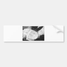 Save the Date Rose Bumper Sticker