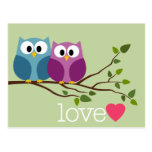 Save the Date with Cute Owl Couple Post Cards