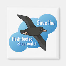 Save the Flesh-footed Shearwater Fridge Magnets