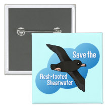 Save the Flesh-footed Shearwater Pinback Buttons