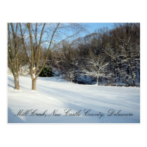 Save the Mill Creek Flood Plain Winter postcards