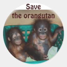 Save the Orangutan Stickers