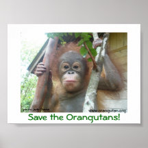 Save the Orangutans Print