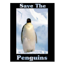Save the Penguins Post Card