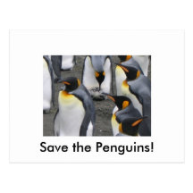 Save the Penguins! Postcard