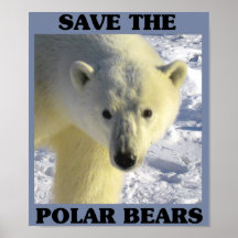Save the Polar Bears Print