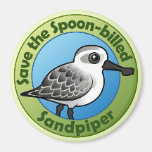 Save the Spoon-billed Sandpiper Magnet