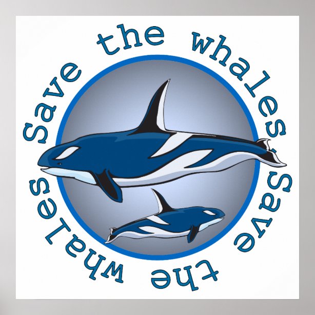 Save The Whales Posters Photo Prints Zazzle AU