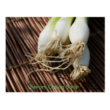 Savory Onion Soup Postcard