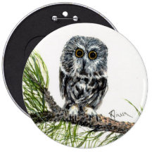 Saw Whet Owl Button