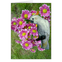 Say It With Flowers Greeting Cards