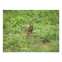 Saying Grace by Leslie Peppers Art Photo