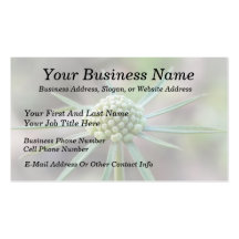 Scabiosa Bud Business Card Template
