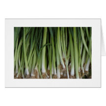 Scallions Card