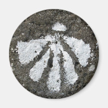 Scallop Shell Magnet