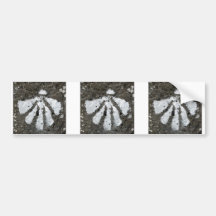 Scallop Shells Bumper Sticker