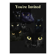 Scaredy Cats Invitation
