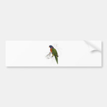 Scarlet-Collared Parrakeet by Edward Lear Bumper Sticker