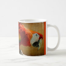 Scarlet Macaw Mug