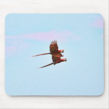 Scarlet Mackaw Couple Flying Mouse Pad