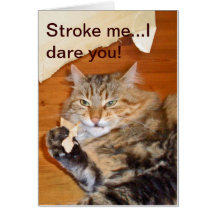 Scary Cat Blank Greeting Card