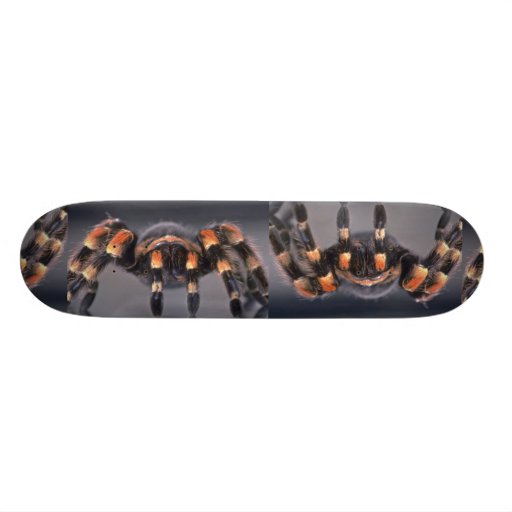 Scary Tarantula spider Skate Board