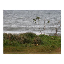 Scenery by The Sea Post Cards