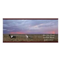 Scenes from New Mexico Custom Announcement
