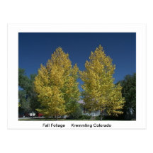 Scenic America Post Card