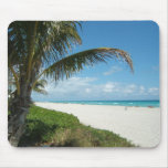 Scenic Beach, Side Palm Branch Mousepad