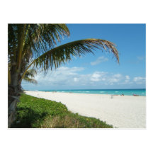 Scenic Beach, Side Palm Branch Post Cards
