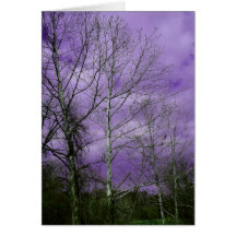 Scenic fall look greeting cards
