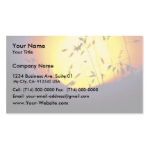Scenic Grass Against the Sun Business Card