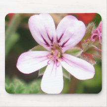 Scented Geranium Mousepad